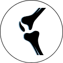 graphic of a knee joint